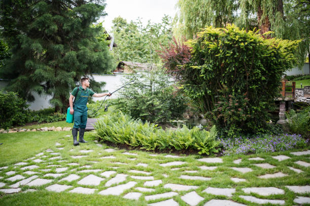 Best Best Pest Control Companies  in Pocahontas, IA