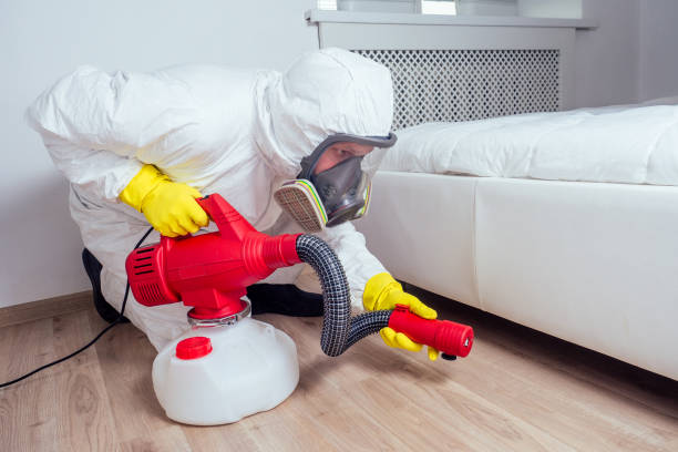 Best Flea Control Services  in Pocahontas, IA
