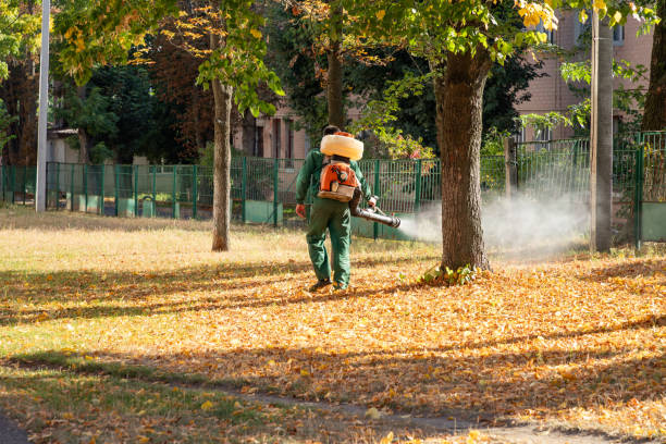 Best Wildlife Control Services  in Pocahontas, IA