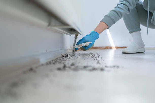 Best Pest Removal Services  in Pocahontas, IA
